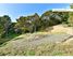 211 Krippner Road, Puhoi, Rodney, Auckland