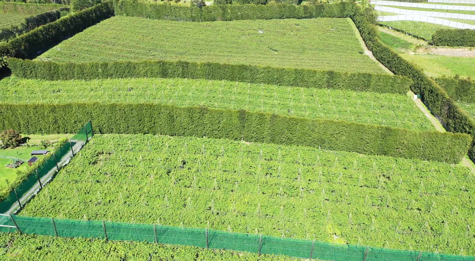 8 Jacks Lane, Oropi, Tauranga For Sale realestate.co.nz