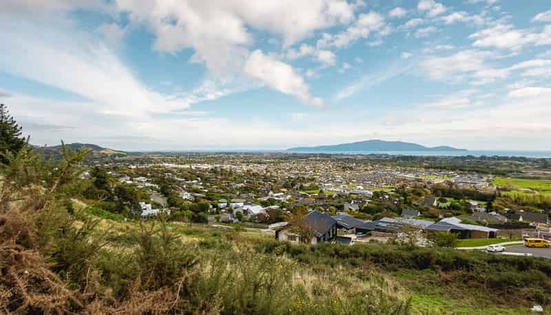 20 Wilson Way, WAIKANAE