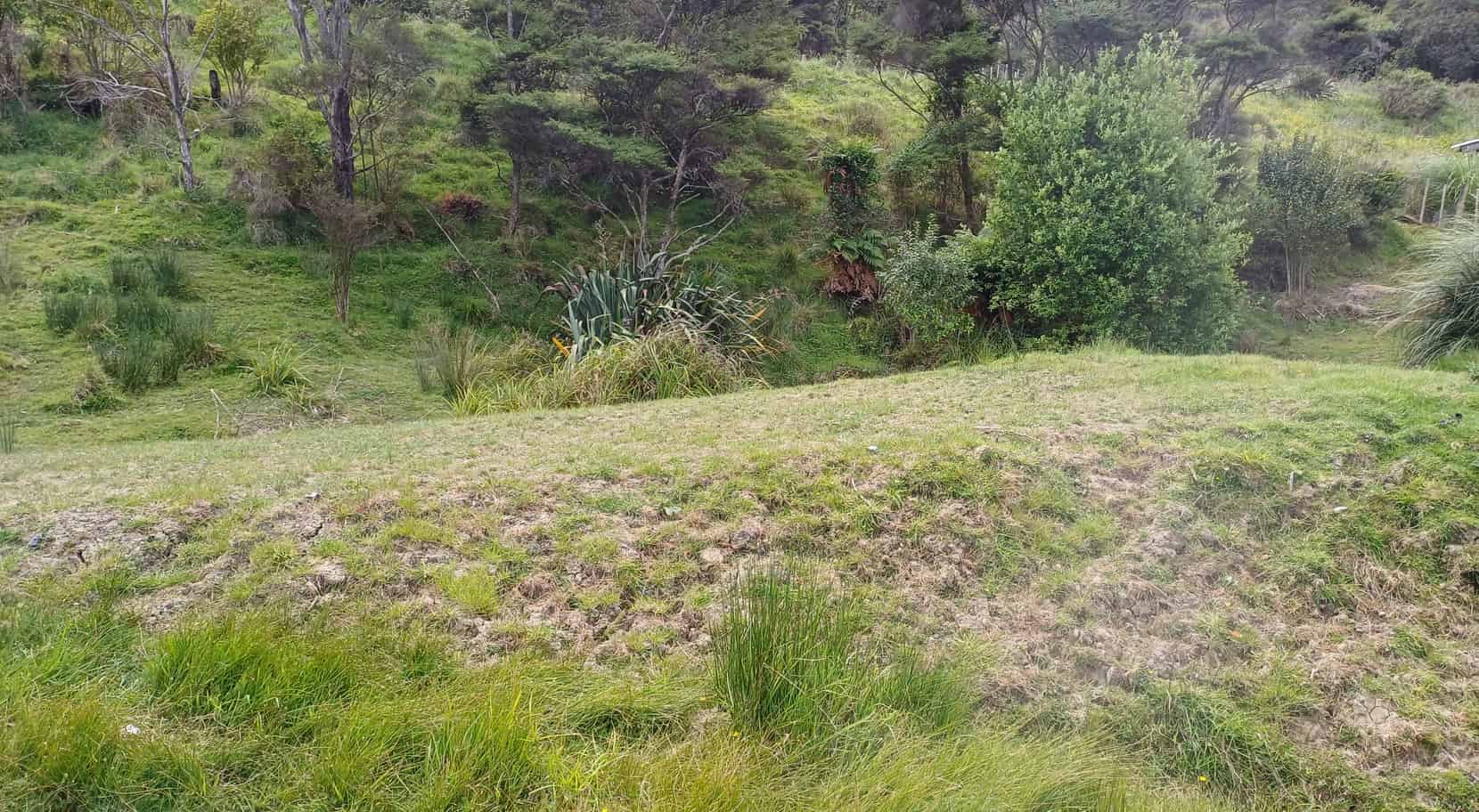 Raglan Road, Kawhia, Otorohanga For Sale realestate.co.nz