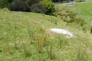  Raglan Road, Kawhia
