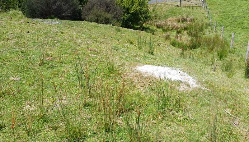  Raglan Road, Kawhia