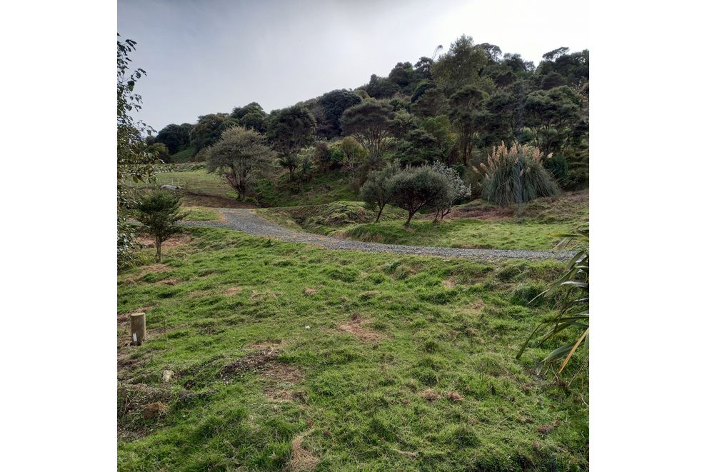 Raglan Road, Kawhia, Otorohanga For Sale realestate.co.nz