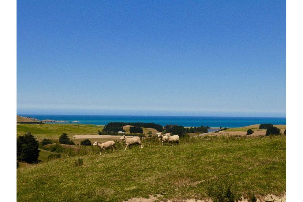 Lots 14 Kemp Road , Moeraki, Waitaki For Sale realestate.co.nz