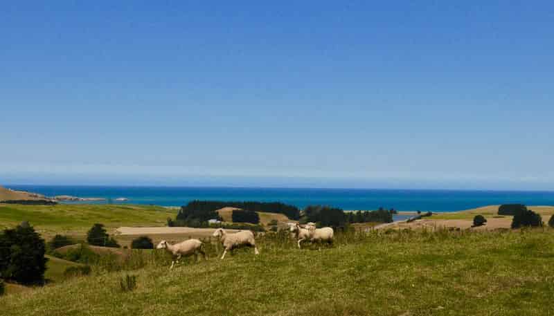 Lots 14 Kemp Road , MOERAKI, Waitaki For Sale realestate.co.nz