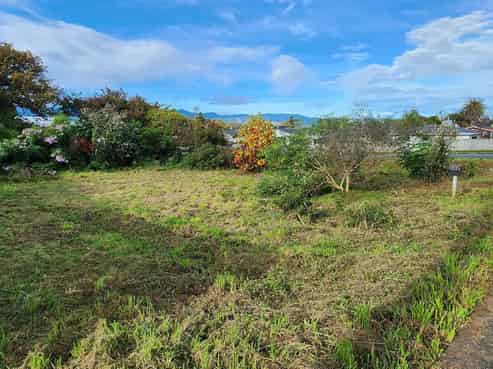 8 Roslyn Road, Levin