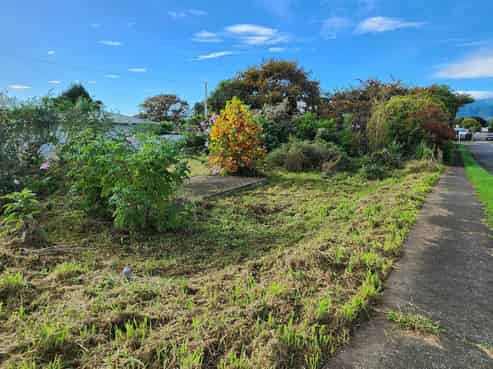8 Roslyn Road, Levin