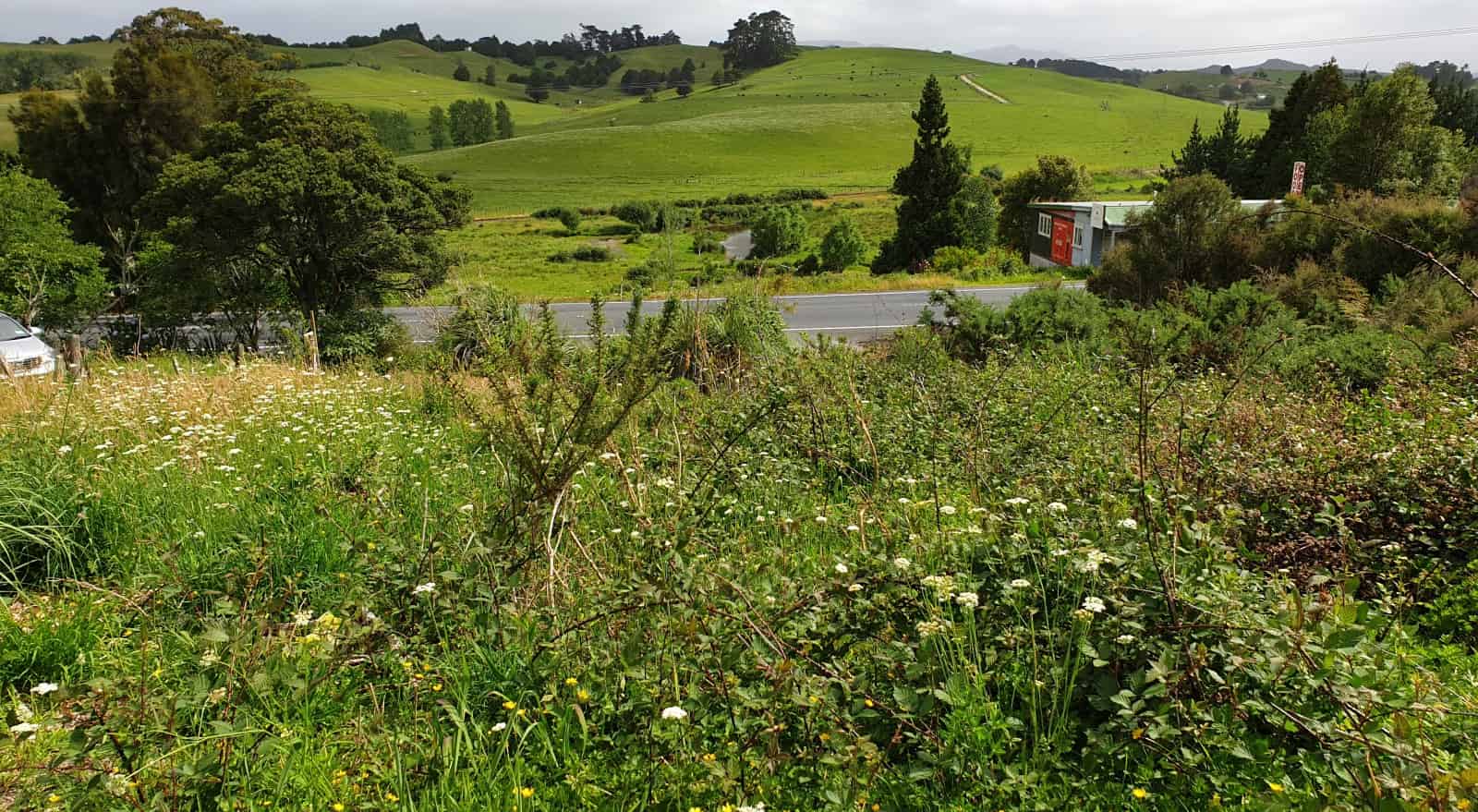 State Highway 1, Towai, Far North For Sale realestate.co.nz