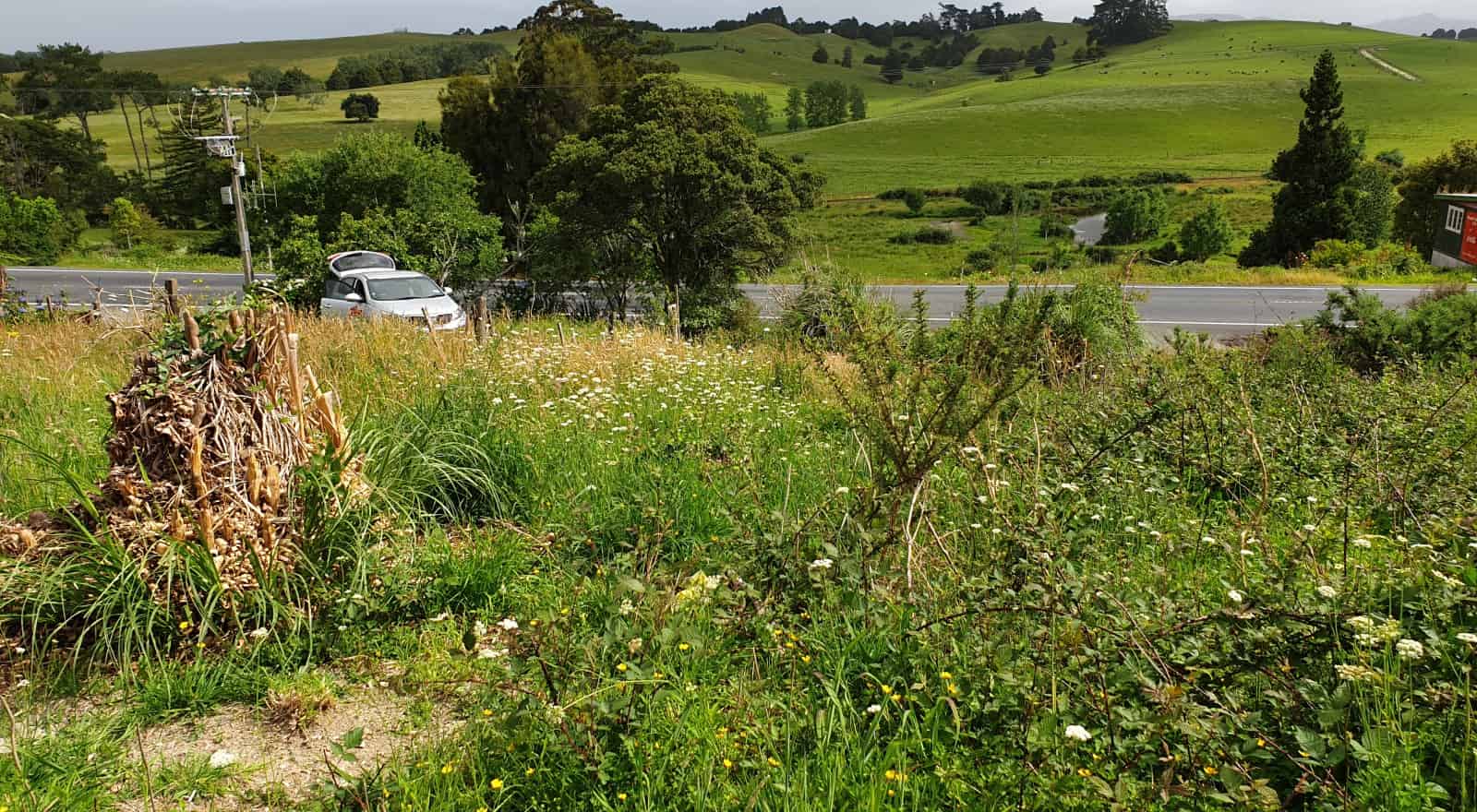 State Highway 1, Towai, Far North For Sale realestate.co.nz