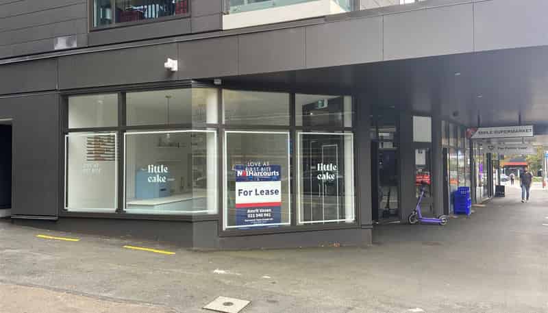 162 Victoria Street, Te Aro