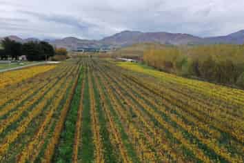  Otiake Road, Kurow