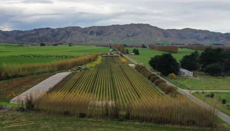  Otiake Road, Kurow