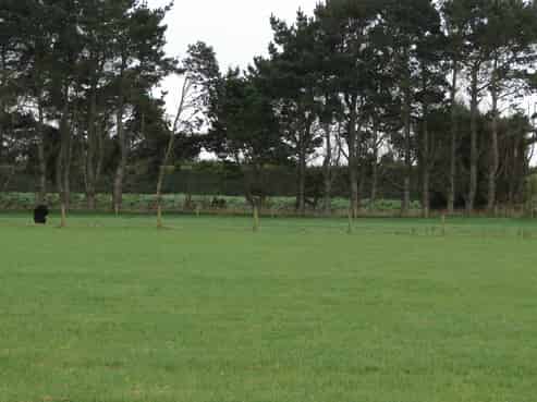 235 Staunton Road, West Plains