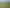 174 Meadowlands Green, Allenton