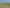 174 Meadowlands Green, Allenton