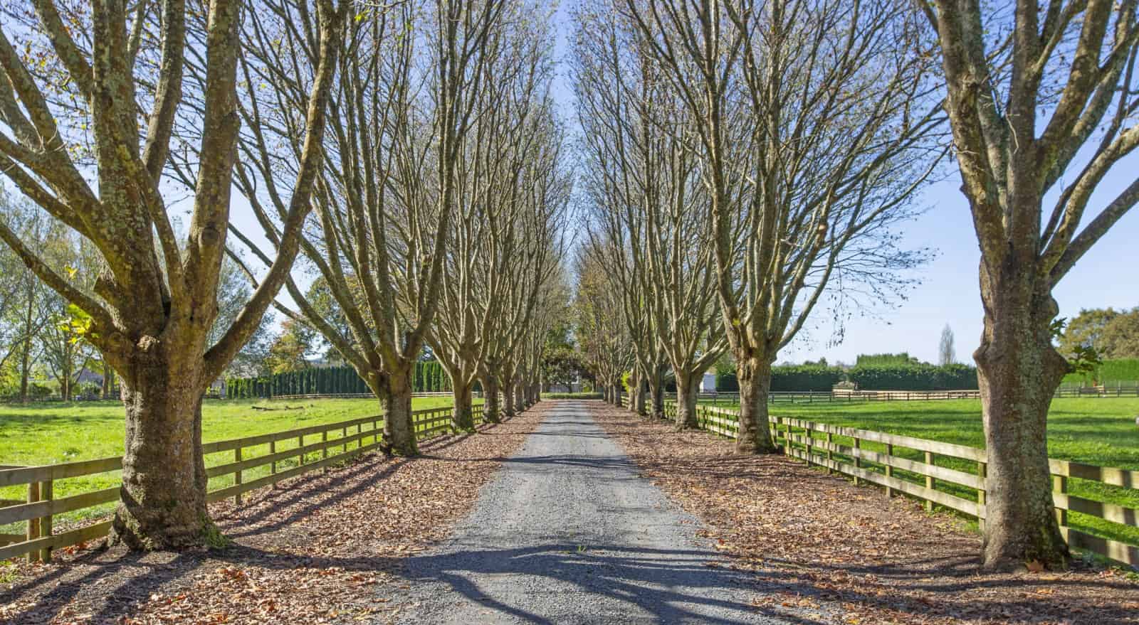 1/845 Maungatautari Road, Cambridge, Waipa For Sale realestate.co.nz