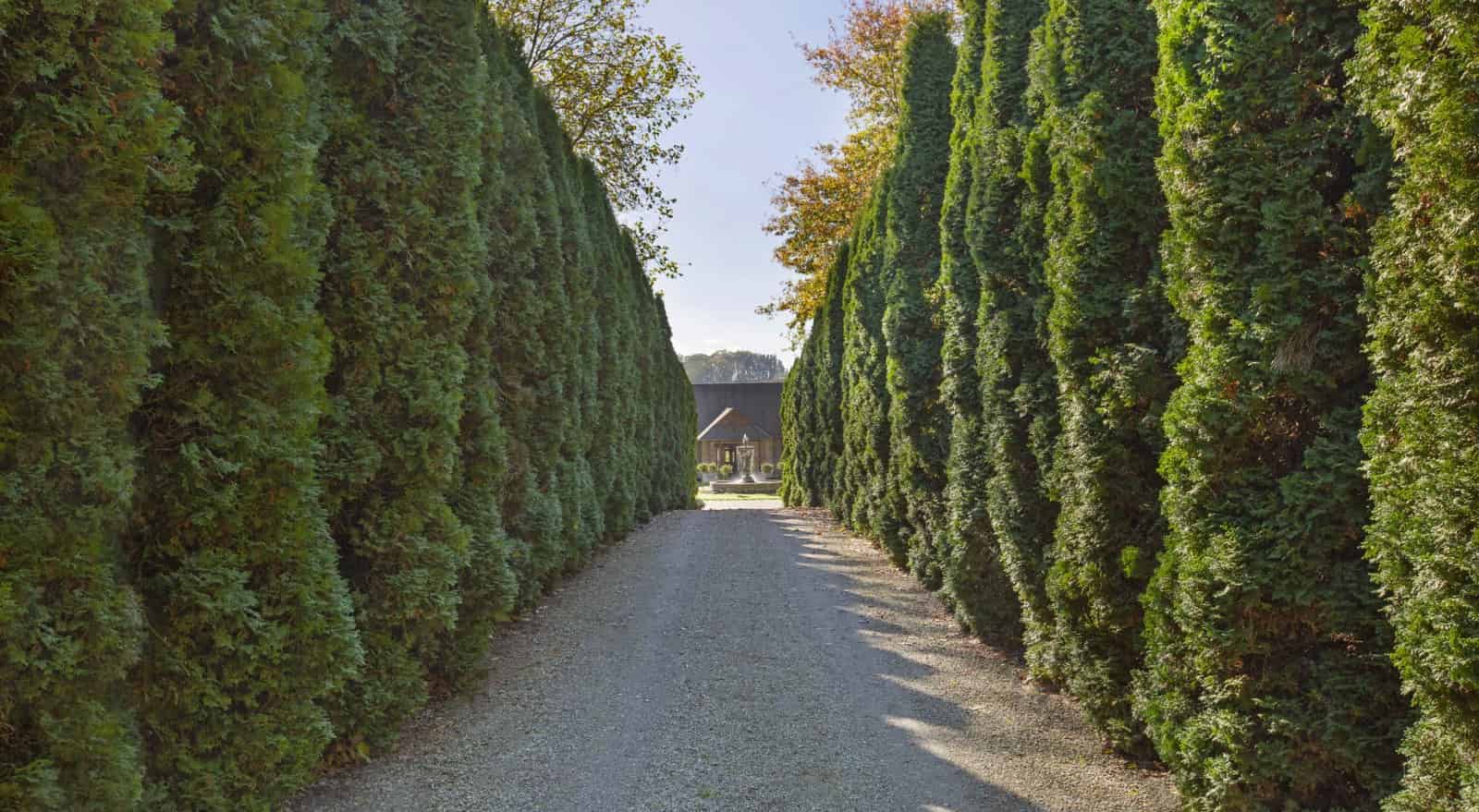 1-845-maungatautari-road-cambridge-waipa-for-sale-realestate-co-nz