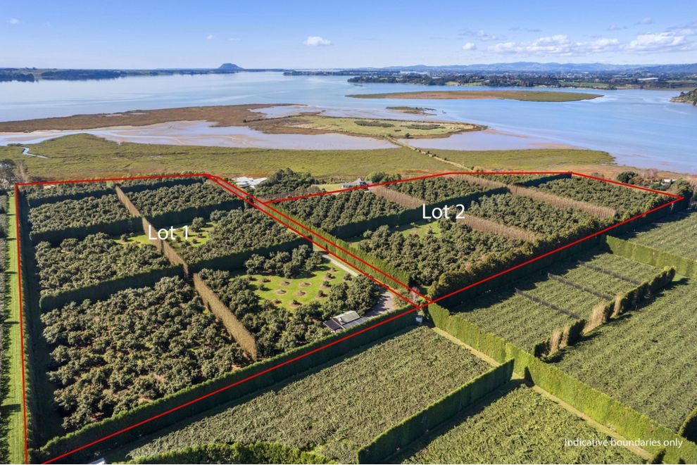 For sale B and C/184 Prestidge Road, Katikati realestate.co.nz