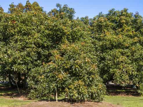184C Prestidge Road, Katikati