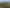 184C Prestidge Road, Katikati