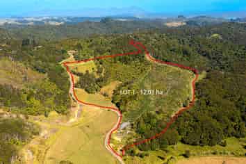 542 Duddy Road, Opononi