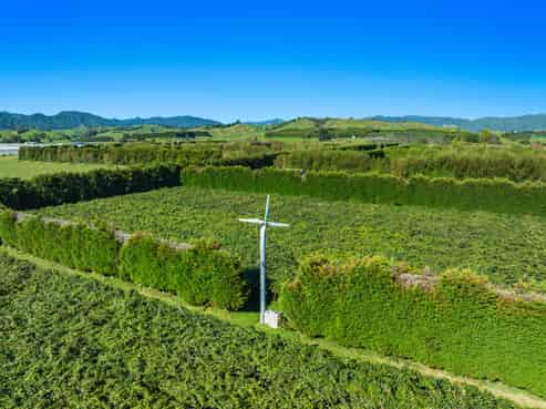 309 Otara Road, Opotiki