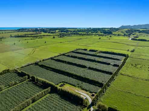 309 Otara Road, Opotiki