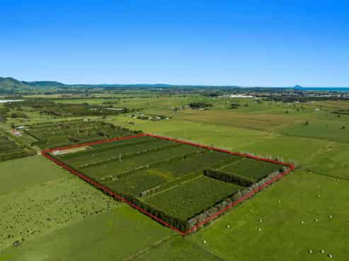 309 Otara Road, Opotiki