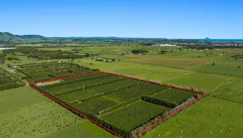 309 Otara Road, Opotiki