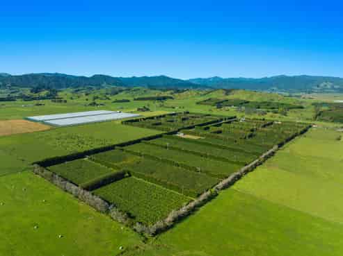 309 Otara Road, Opotiki