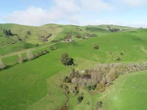 637 Tahuroa Road, Morrinsville