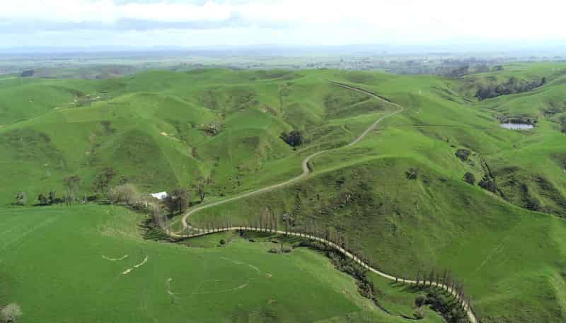 637 Tahuroa Road, Morrinsville