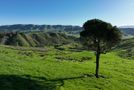 1410B Longbush Road, Gladstone, Carterton, Wairarapa