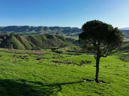 1410B Longbush Road, Gladstone