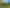 3081 Whanganui River Road, Parikino