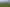 Northland - Address withheld