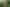 2155 Otaraoa Road, Tarata