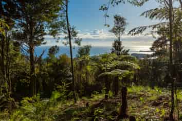 lot 3/1070 Wainui Road, KAEO