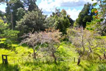 2383 State Highway 12, Kaikohe
