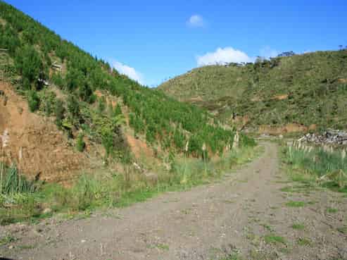 511 Okau Road, Tongaporutu