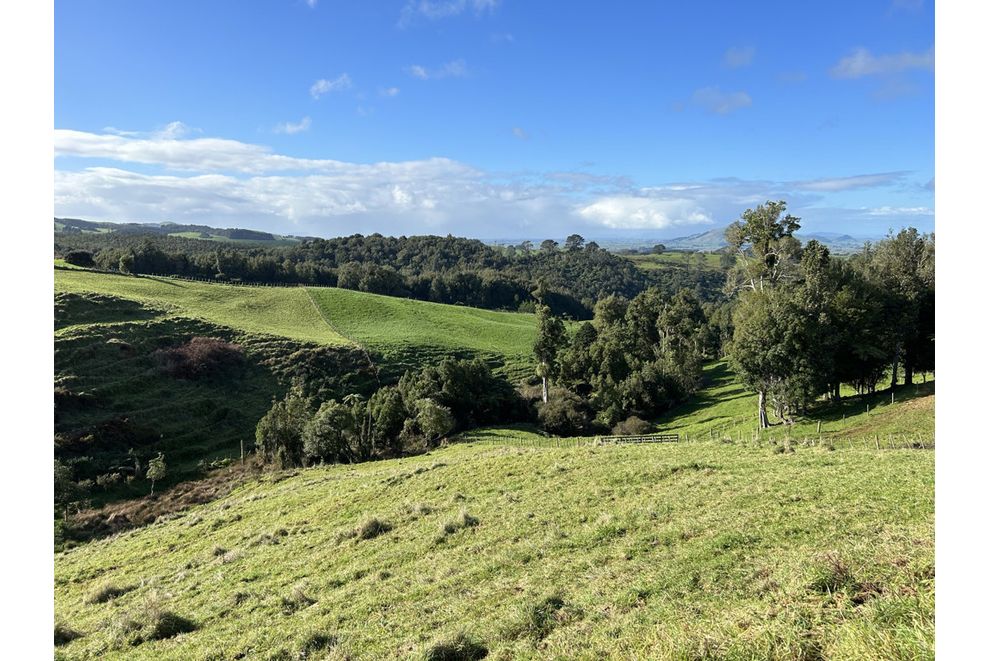 194E Pekanui Road, Pirongia, Waipa For Sale realestate.co.nz