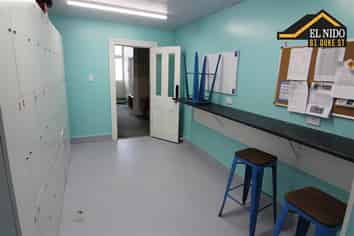 61 Duke Street, North Dunedin