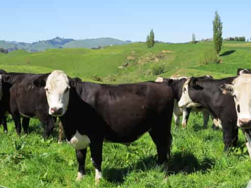 235 Poutakataka Road, Atiamuri