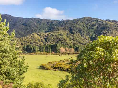 675 Coast Road, Pencarrow Head