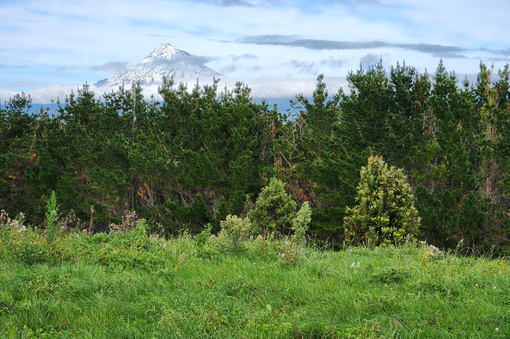 Sold 144 Ackworth Road, Lepperton realestate.co.nz