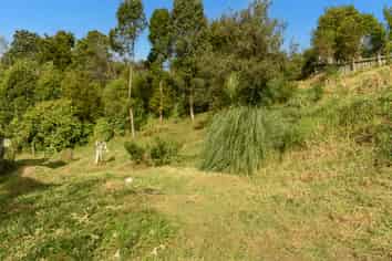 46 Graham Place, Bellevue