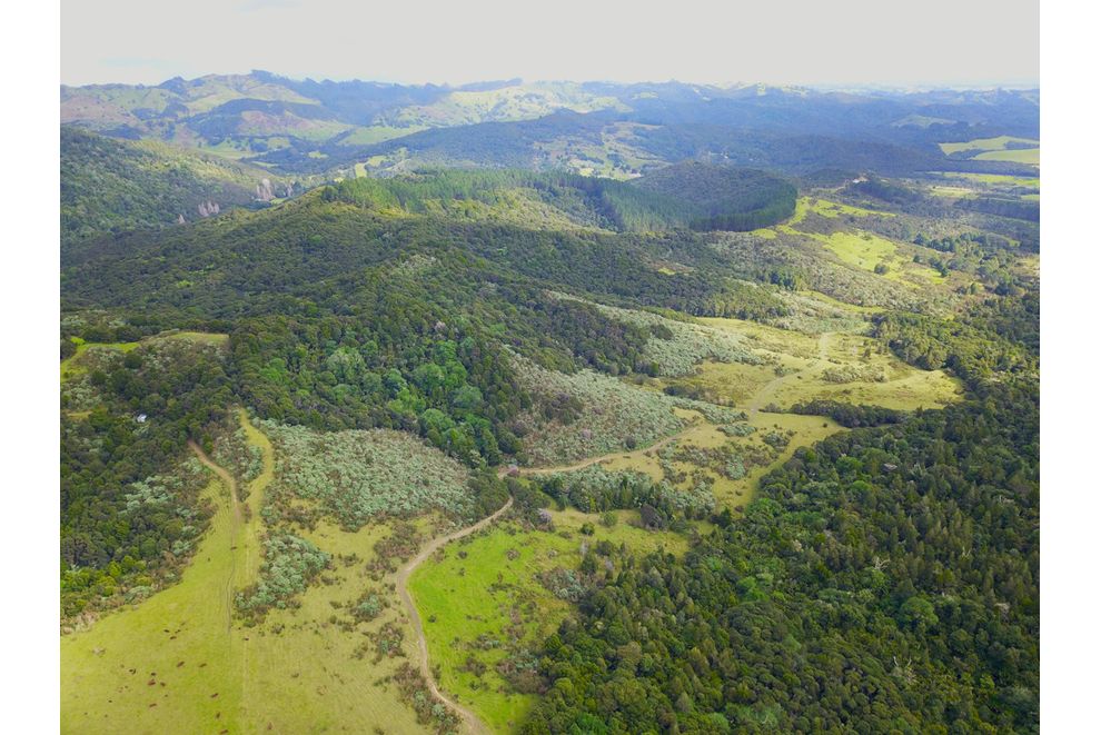 Lots 1 & 2 ParanuiToatoa Road, Taipa, Far North For Sale