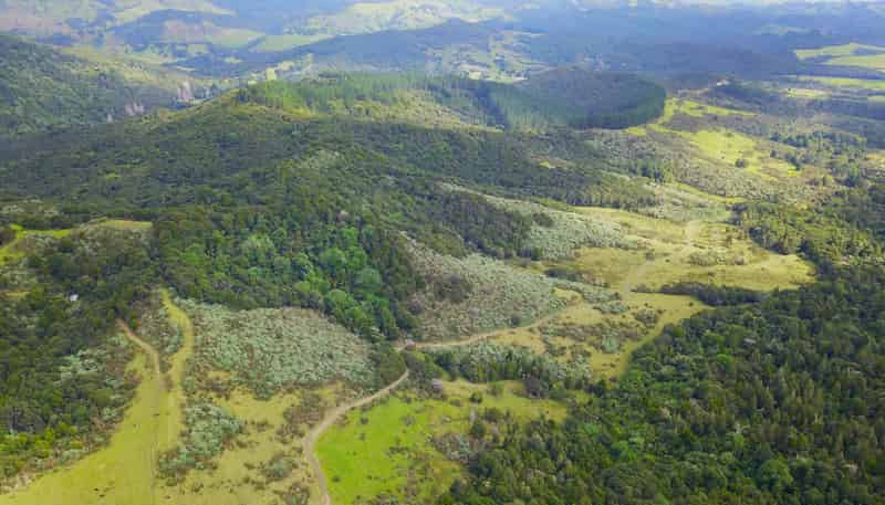 Lots 1 & 2 Paranui-Toatoa Road, Taipa