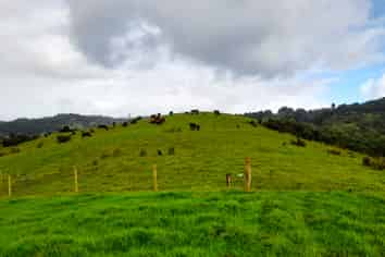 Lots 1 & 2 Paranui-Toatoa Road, Taipa