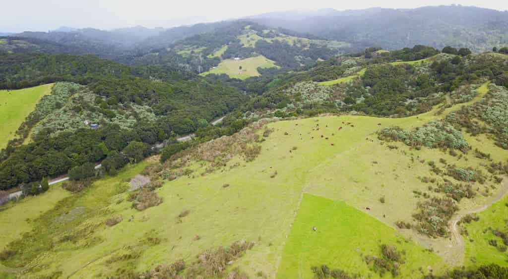 Lots 1 & 2 ParanuiToatoa Road, Taipa, Far North For Sale